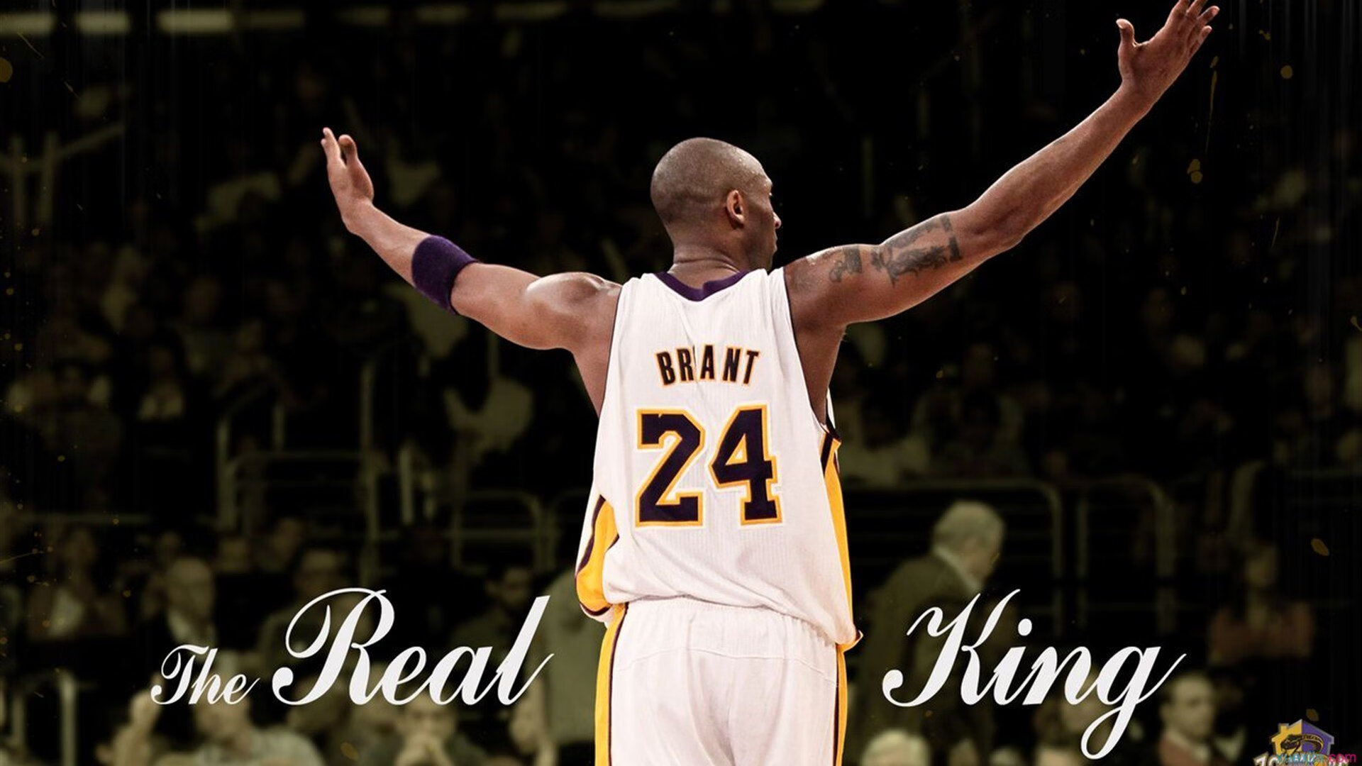 开云体育-霍勒假日,当山西队用东方智慧全面压制灰熊